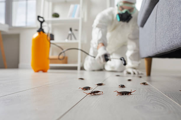 Commercial Kitchen Cockroach Control in Centralia